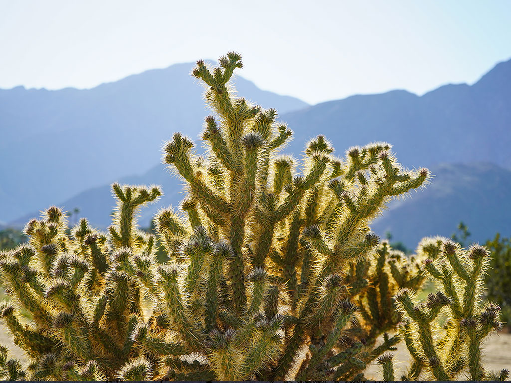 Striking Slot Canyon Hikes
