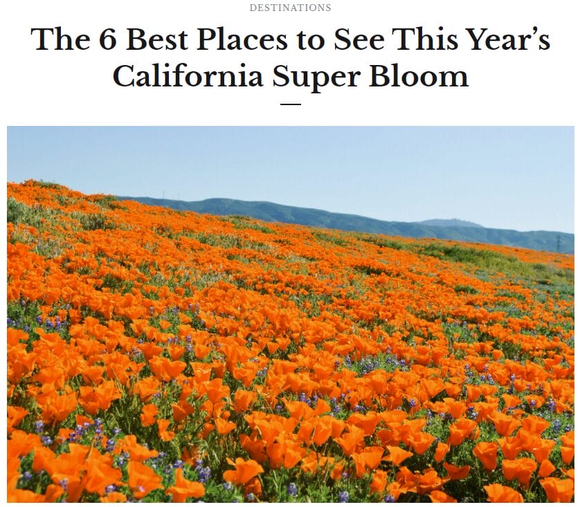 Borrego Valley Inn Featured On “Hotels Above Par”